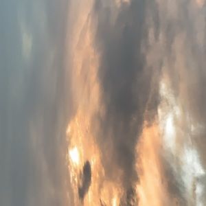 Meet your Posher, Faye